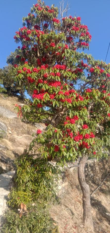 Chandarshila Hike Homestay Ukhimath Экстерьер фото